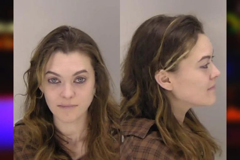 Anna Hudson mugshot – Mcintosh County , Georgia Anna Hudson