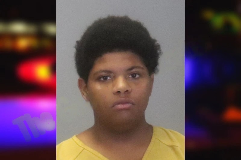 Anna McKenzie mugshot – Muscogee County , Georgia Anna McKenzie mugshot