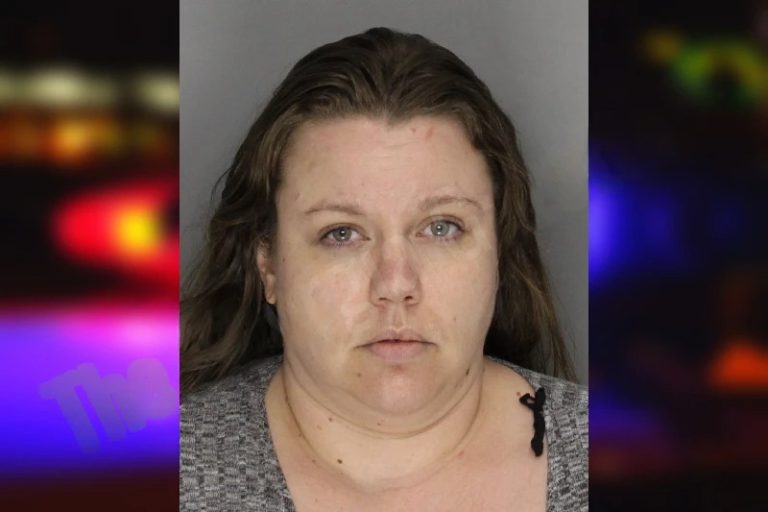 Anna Wilson mugshot – Cobb County , Georgia Anna Wilson