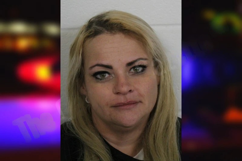 Annie Clement mugshot