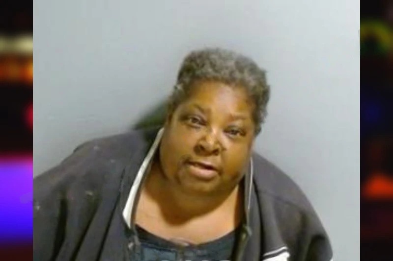 Annie Fields mugshot