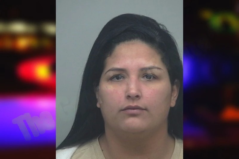 Anny Moran Moran mugshot – Gwinnett County , Georgia Anny Moran Moran mugshot