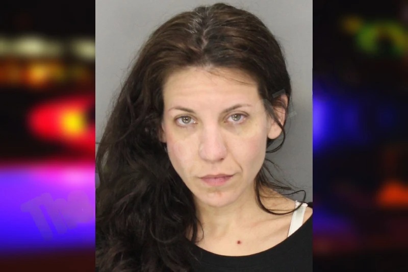 Ansley Edie mugshot – Cobb County , Georgia Ansley Edie mugshot