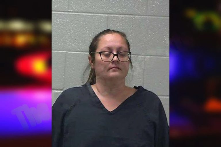 April Hartford mugshot – Gilmer County , Georgia April Hartford