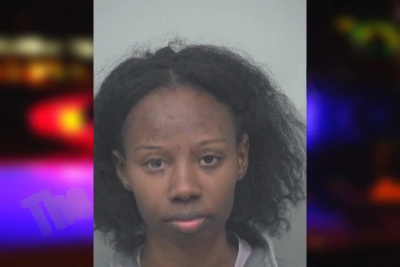 April Mitchell mugshot