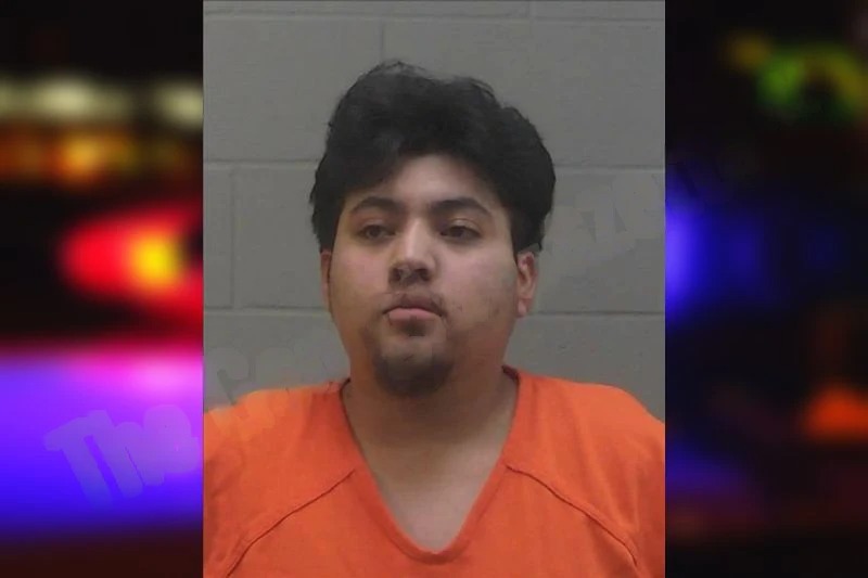 Areli Vilchis-Manzano Mugshots