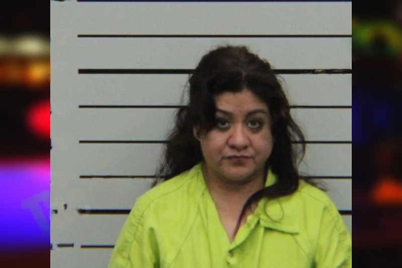 Argelia Chavez Mugshots