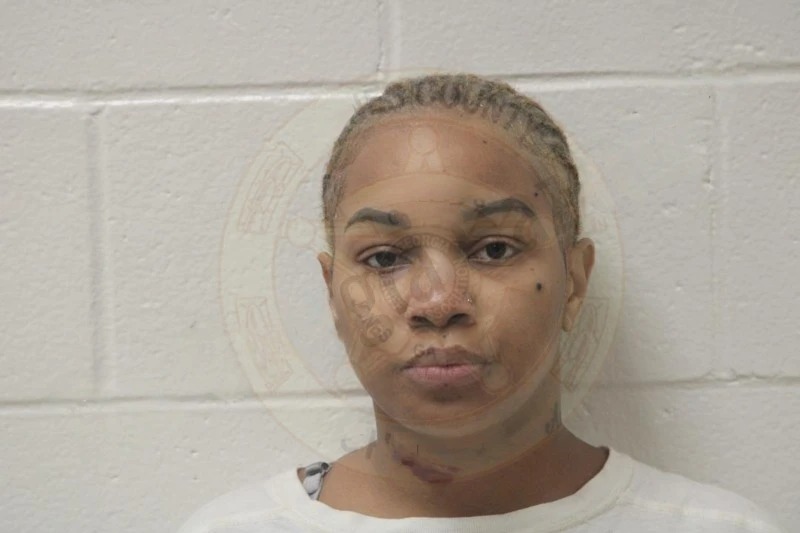 Ariel Stephens Mugshots