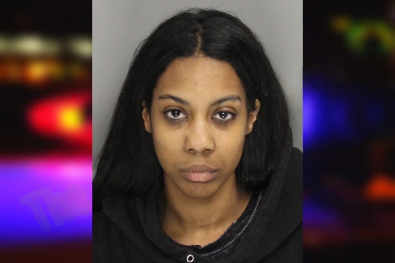 Ariella Pryce mugshot – Cobb County , Georgia Ariella Pryce mugshot