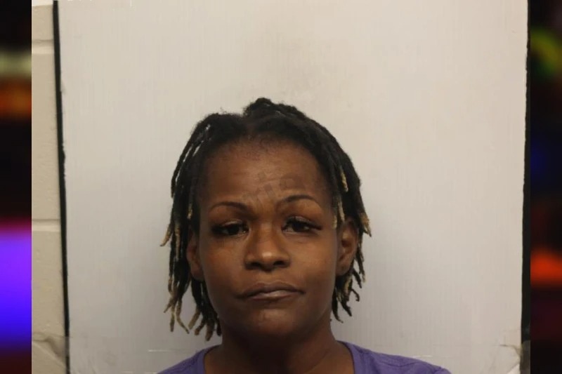 Arielle Hudson Mugshots