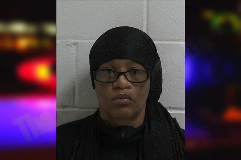 Arlinda Hunter Mugshots