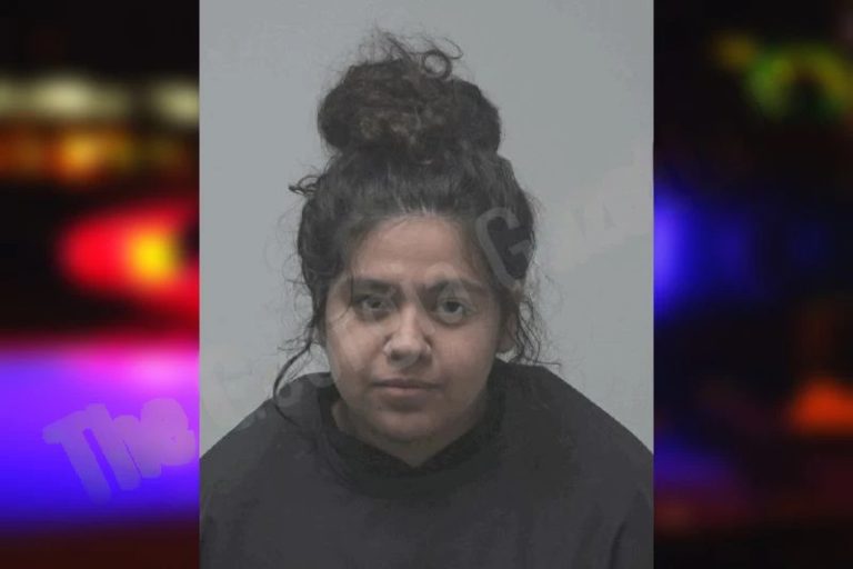 Artlet Salinas Mercado mugshot – Coweta County , Georgia Artlet Salinas Mercado