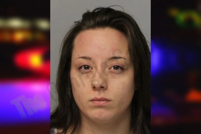 Ashleigh Rose mugshot – Hall County , Georgia Ashleigh Rose mugshot