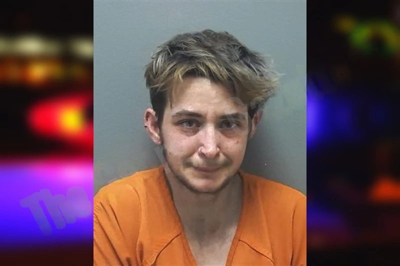 Ashley Atkinson Mugshots