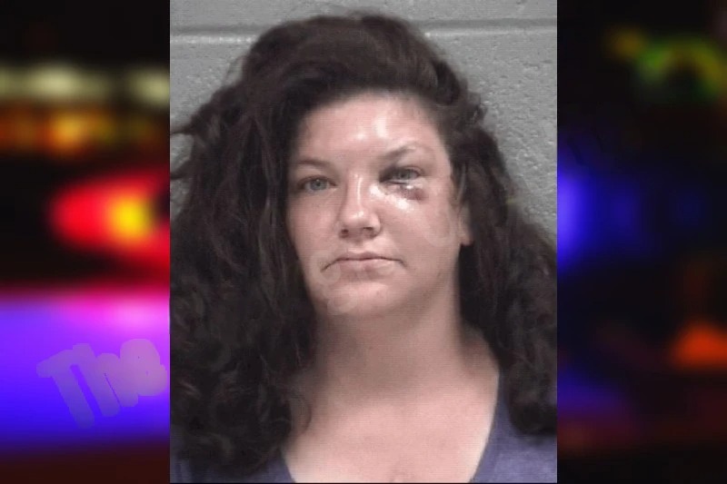 Ashley Boysen Mugshots