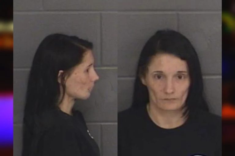 Ashley Crowe mugshot – Barrow County , Georgia Ashley Crowe
