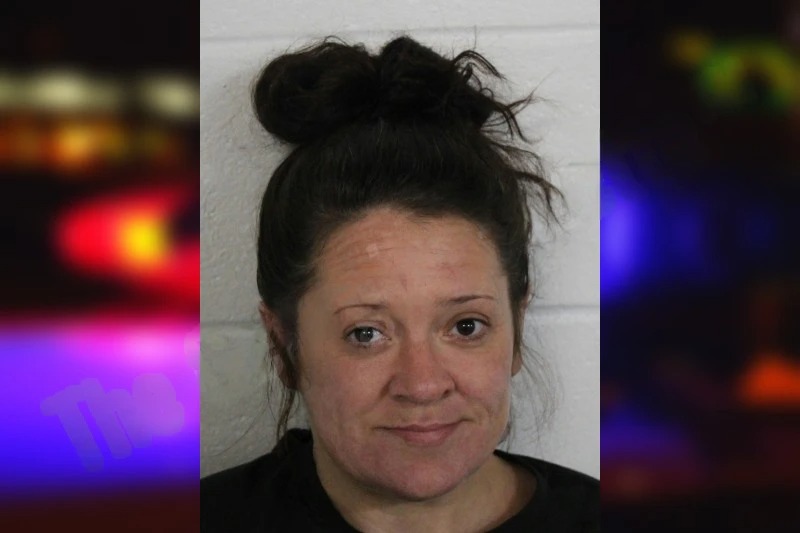 Ashley Davenport mugshot