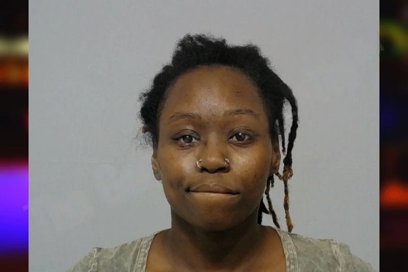 Ashley Davis Mugshots