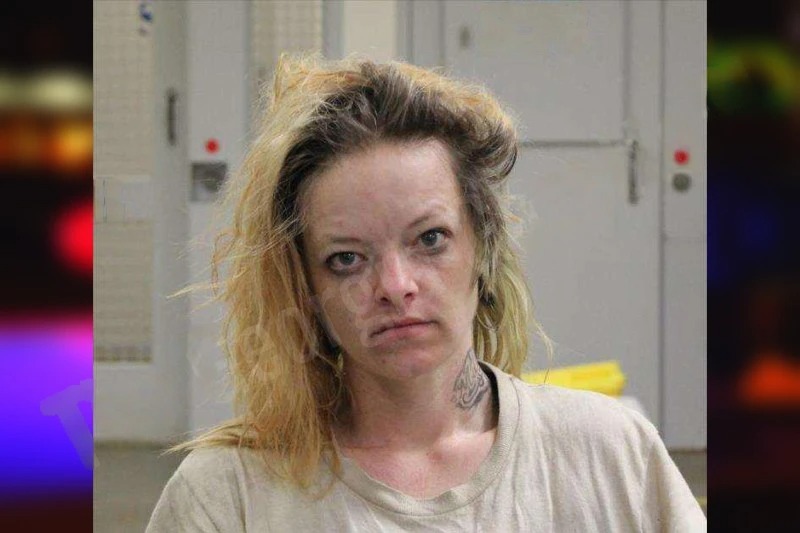 Ashley Denny Mugshots