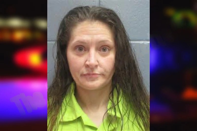 Ashley Fisher Mugshots