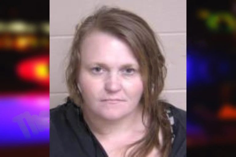 Ashley Hanson mugshot – Walker County , Georgia Ashley Hanson