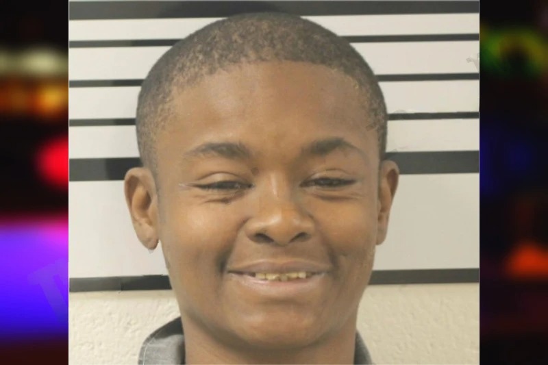 Ashley Harris mugshot