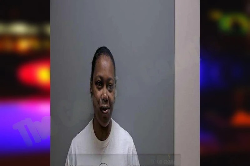 Ashley Hodges Mugshots