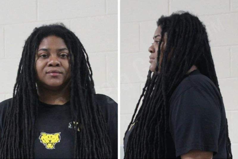Ashley Johnson Mugshots
