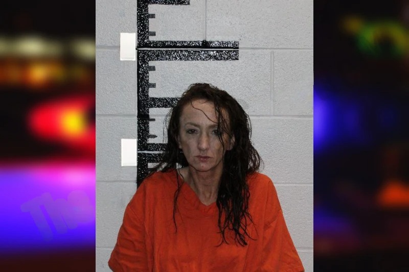 Ashley Jones Mugshots