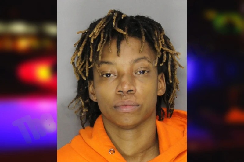 Ashley Nelms mugshot