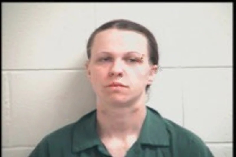 Ashley Price mugshot