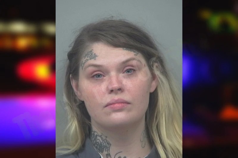 Ashley Stephens mugshot