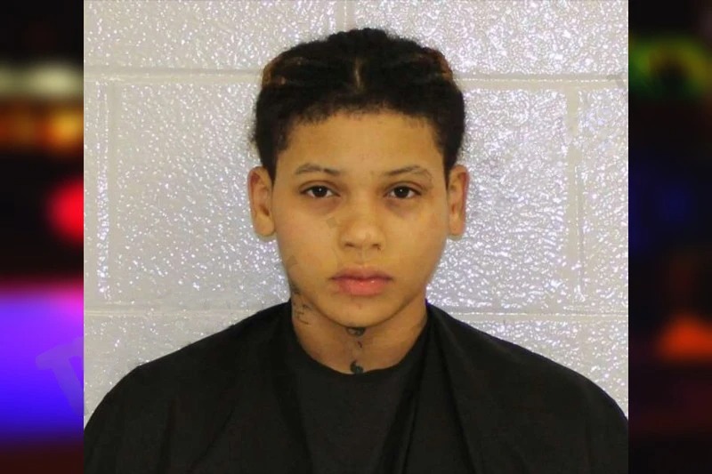 Ashley Susana Mugshots