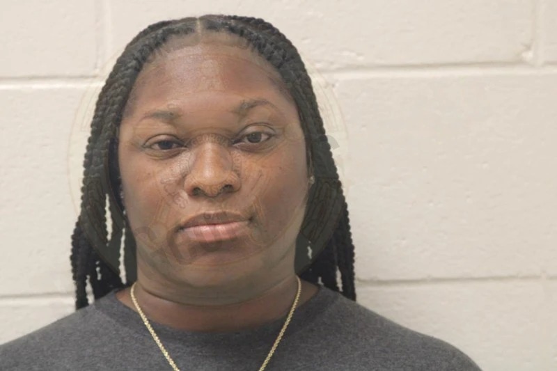 Ashley Wilson Mugshots