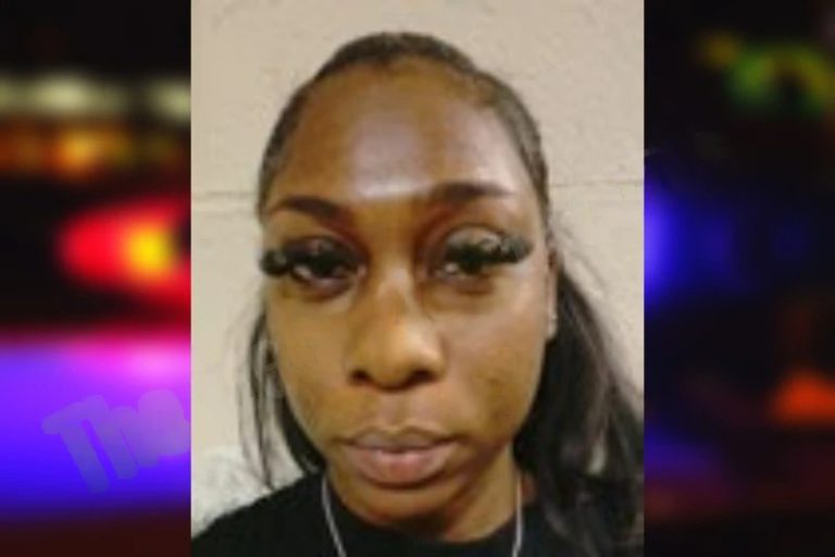 Ashley Winbush mugshot – Henry County , Georgia Ashley Winbush