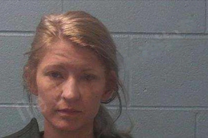 Ashli Pruitt mugshot – Franklin County , Georgia Ashli Pruitt mugshot