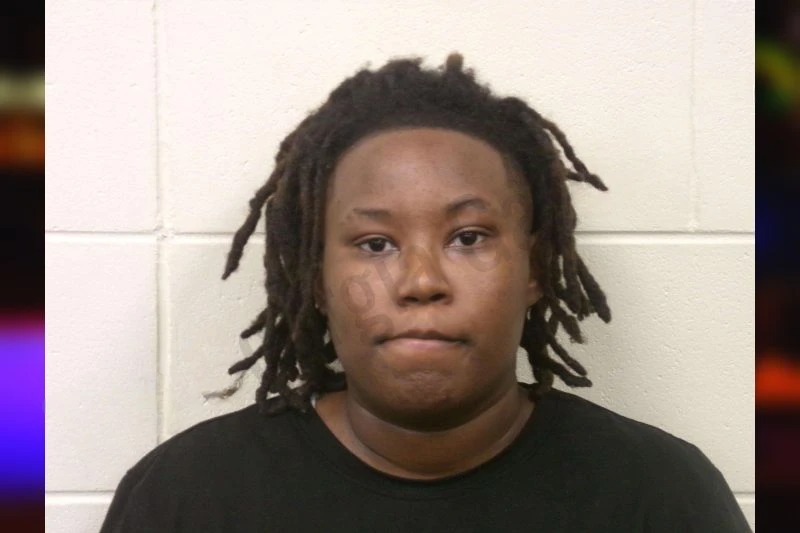 Ashlynn Rogers mugshot