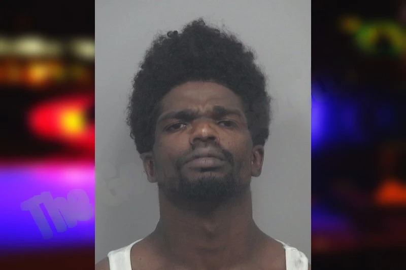 Ashora Adana mugshot – Gwinnett County , Georgia Ashora Adana mugshot