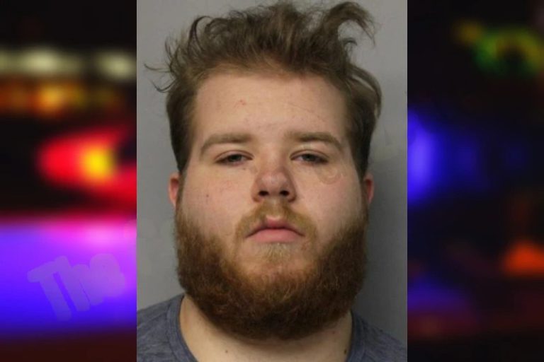 Ashtyn Ledford mugshot – Hall County , Georgia Ashtyn Ledford