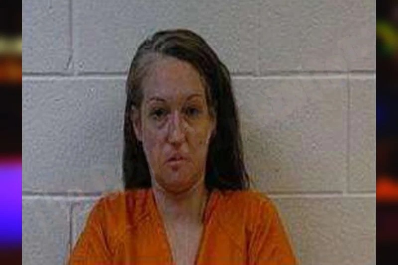 Audrey Elsberry mugshot