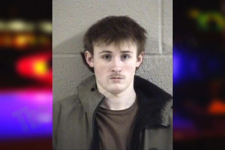 Austin Rogers mugshot – Whitfield County , Georgia Austin Rogers