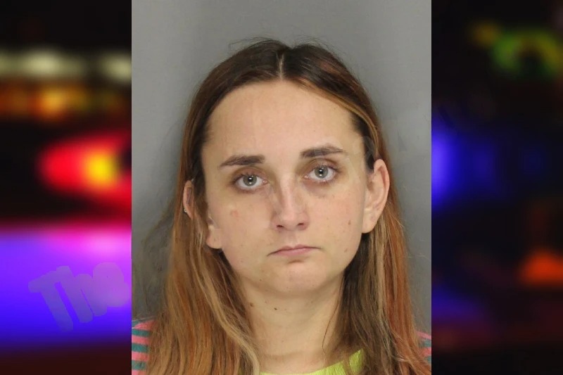 Ava Baldini mugshot – Cobb County , Georgia Ava Baldini mugshot