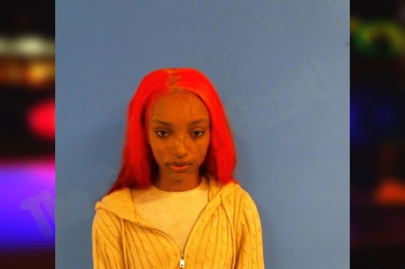 Ayanna Turner Mugshots