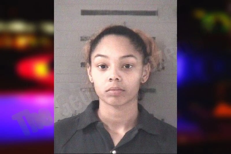 Ayianna Price mugshot