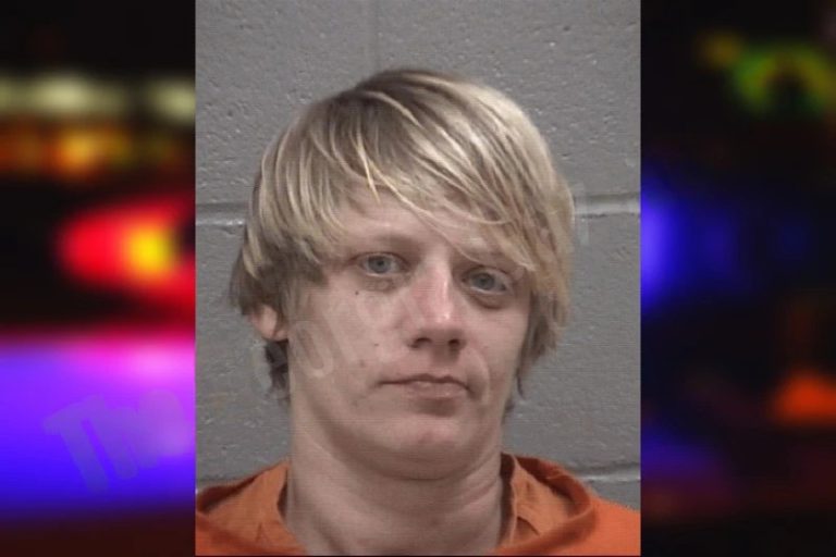 Barbara Busbee mugshot – Columbia County , Georgia Barbara Busbee