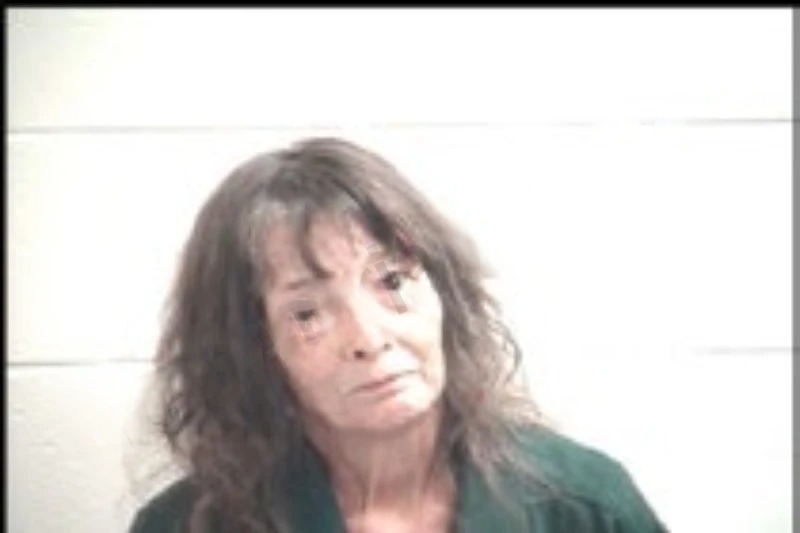 Beckie Johnson mugshot – Henry County , Georgia Beckie Johnson mugshot