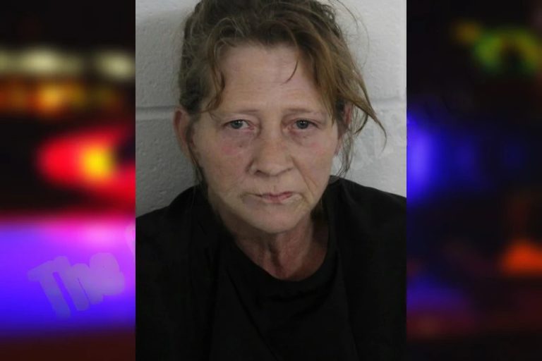 Beverly Sipple mugshot – Floyd County , Georgia Beverly Sipple