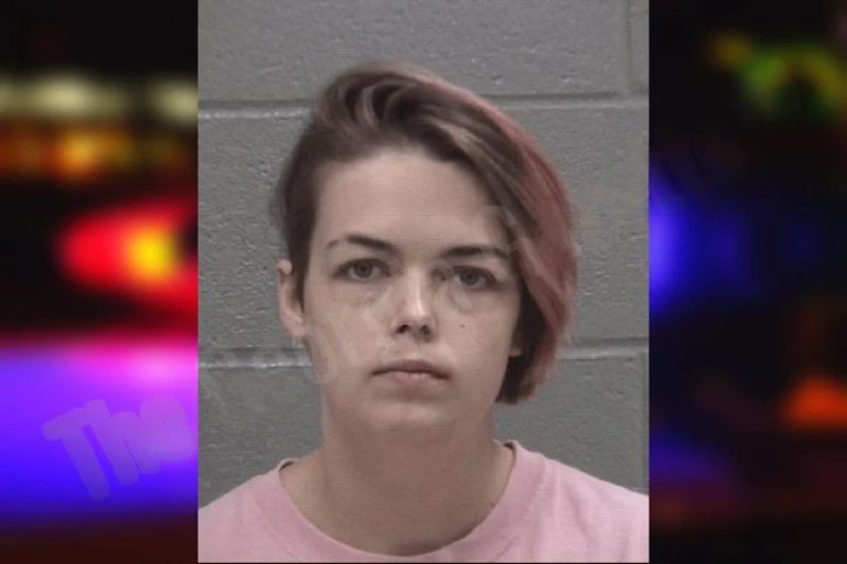 Bianca Dixon mugshot – Columbia County , Georgia Bianca Dixon
