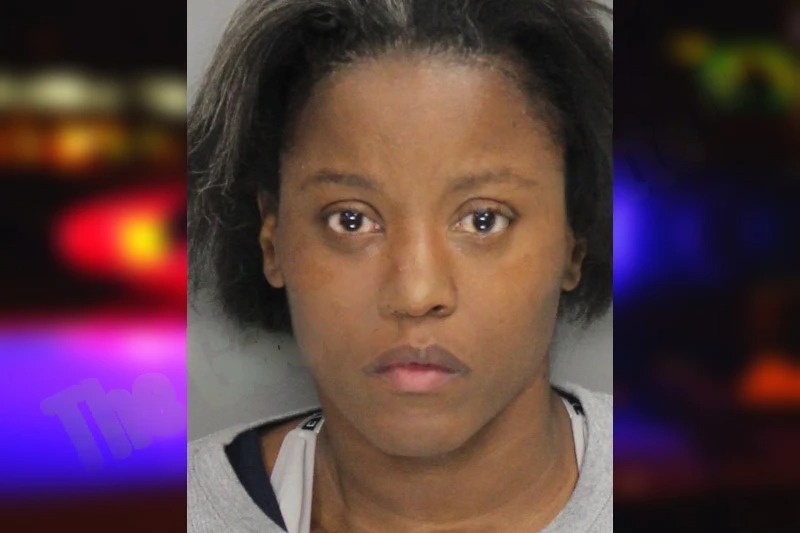 Bianca Wheat mugshot – Cobb County , Georgia Bianca Wheat mugshot