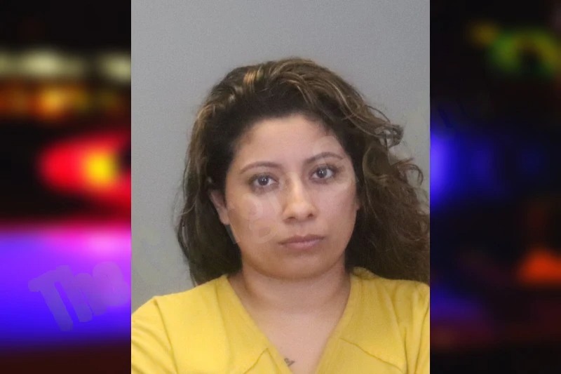 Bibiana Hernandez mugshot
